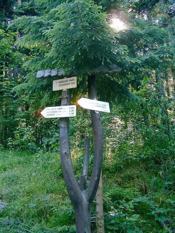 20120616 076.jpg